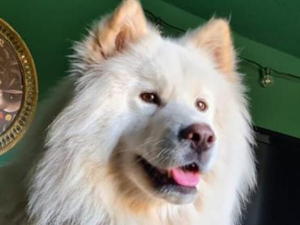 Über Tofu  mags eher ruhiger