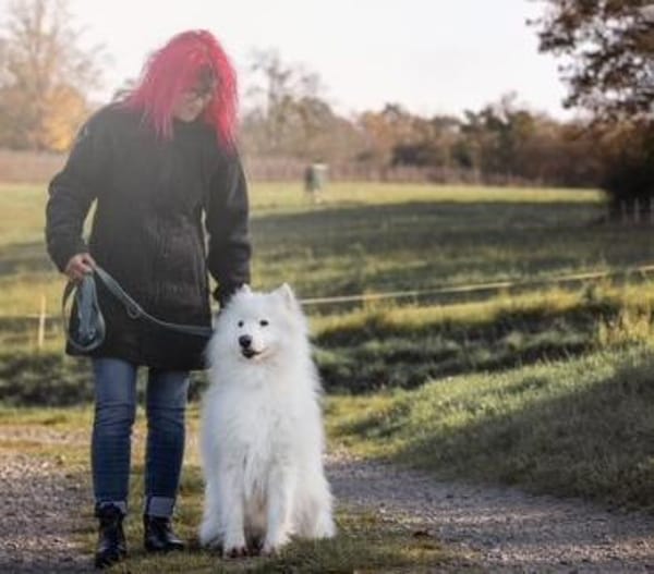 Über Balou  altes Spiel  neues Glück