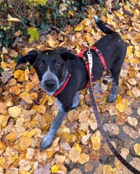 Kinga sucht ihre Familie