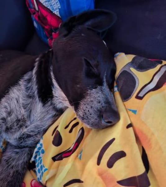 Kinga sucht ihre Familie