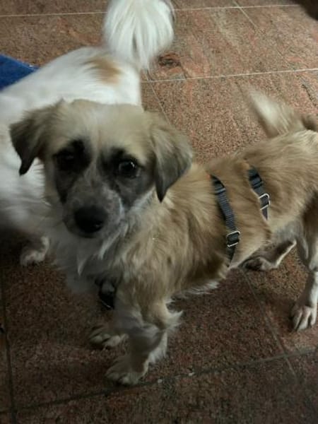 Leyla auf der Suche nach dem Glück