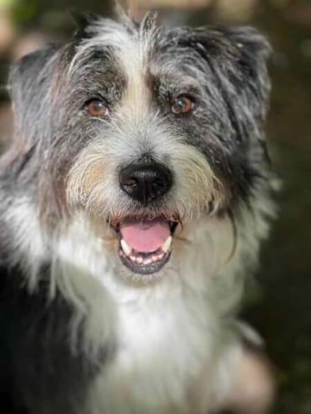 GULLIVER - aktiv & neugierig-