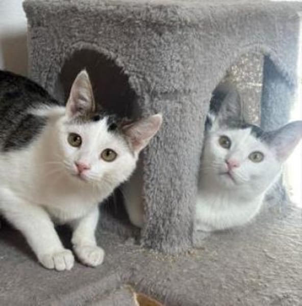 Greg + Manni hängen sehr aneinander