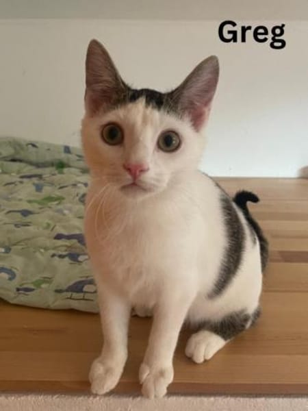 Greg + Manni hängen sehr aneinander