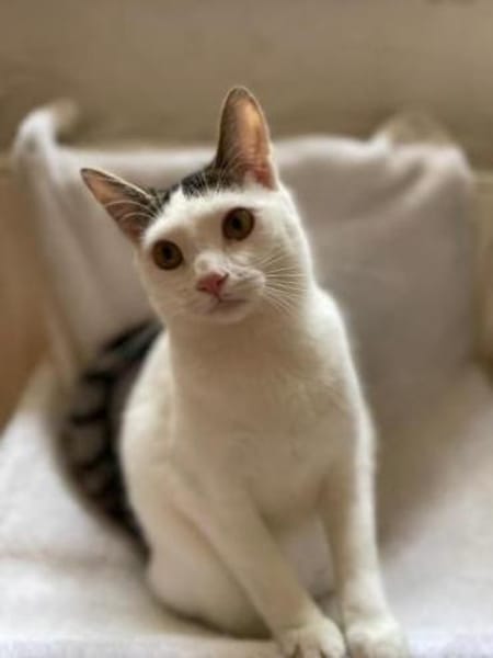 Greg + Manni hängen sehr aneinander