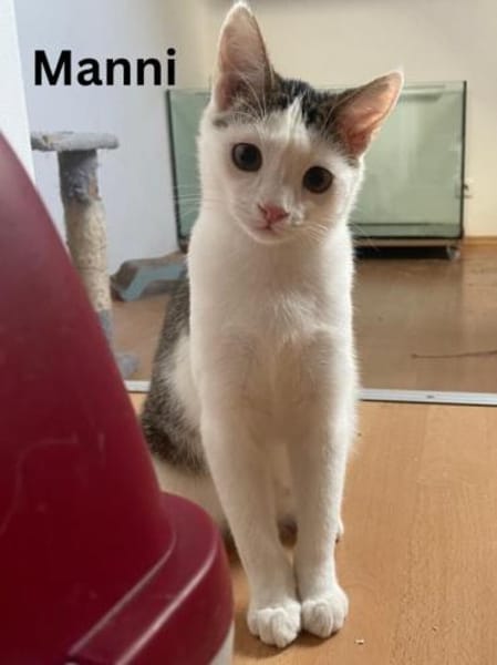 Greg + Manni hängen sehr aneinander