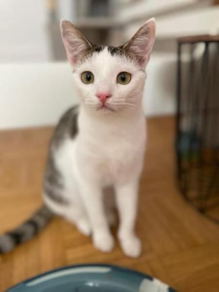 Greg + Manni hängen sehr aneinander