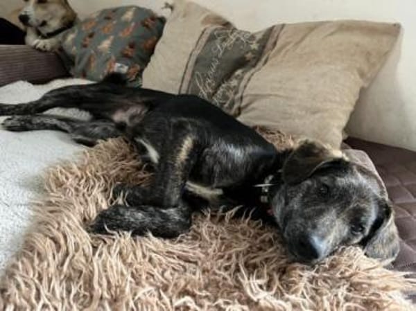 BOLEK -lernfreudig & offen-