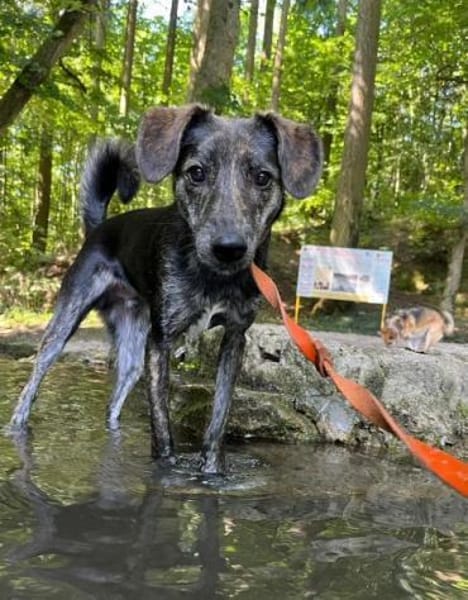 BOLEK -lernfreudig & offen-