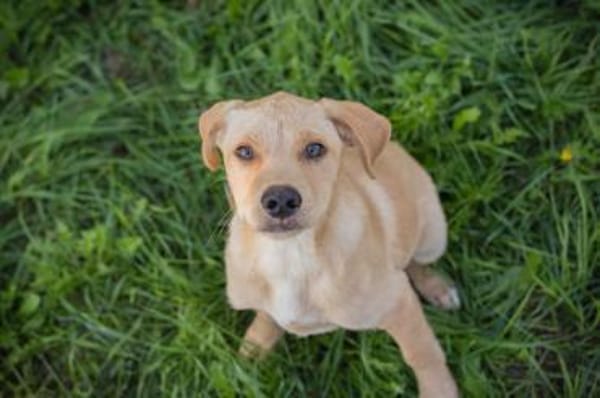 MILOW -jetzt können die Richtigen kommen