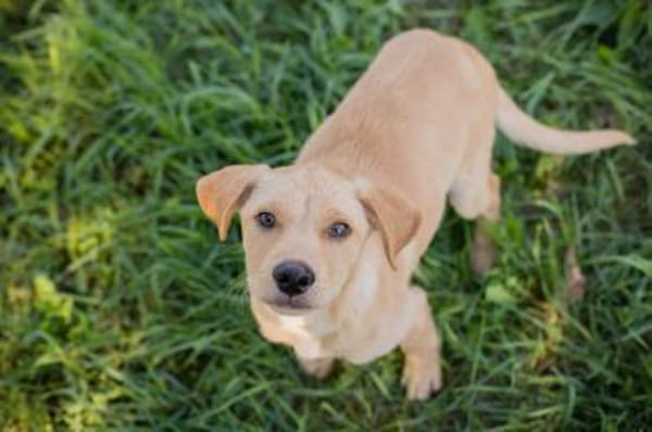 MILOW -jetzt können die Richtigen kommen