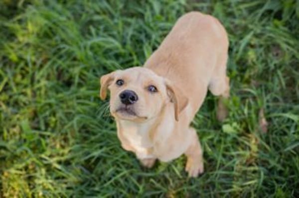 MILOW -jetzt können die Richtigen kommen