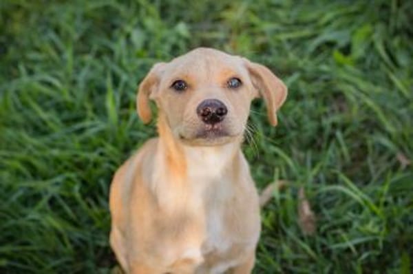 MILOW -jetzt können die Richtigen kommen