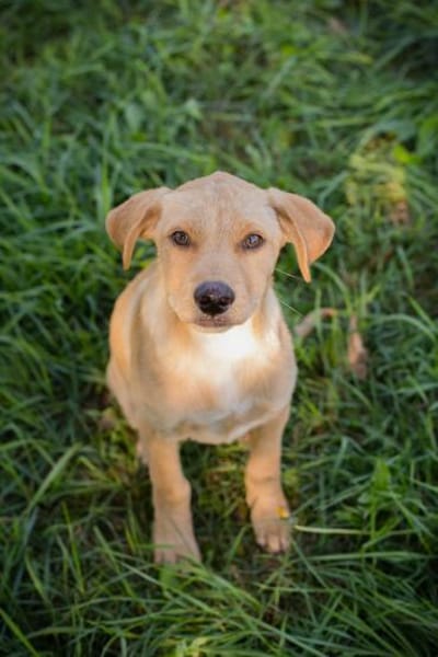MILOW -jetzt können die Richtigen kommen