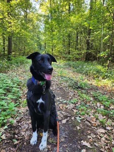 Piero 💙💙💙 dringend neues Zuhause