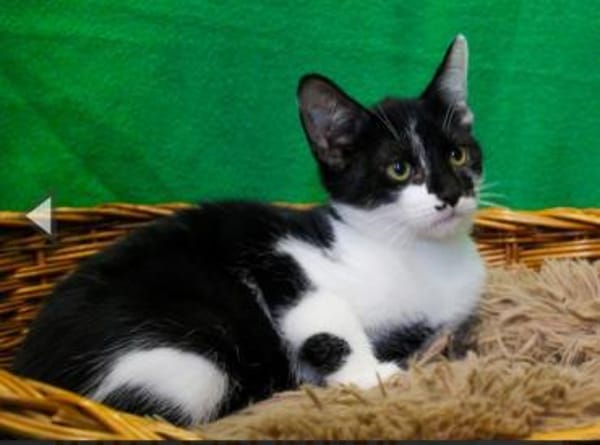 Armina, anfangs noch schüchtern