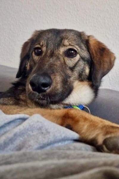 Kassandra möchte sich endlich binden💕