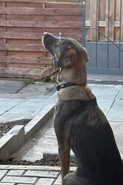 Kassandra möchte sich endlich binden💕