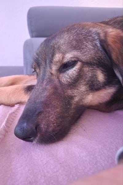 Kassandra möchte sich endlich binden💕