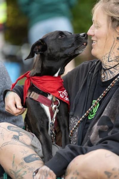 Zuhause gesucht: JUNA (w) in 36355