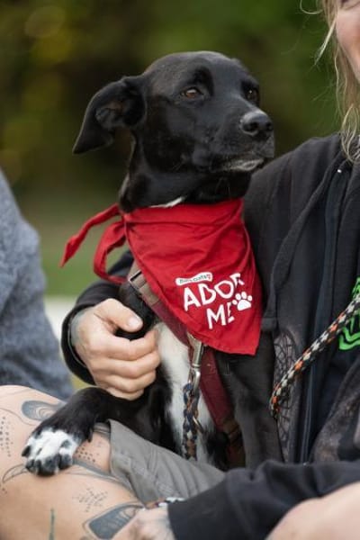 Zuhause gesucht: JUNA (w) in 36355