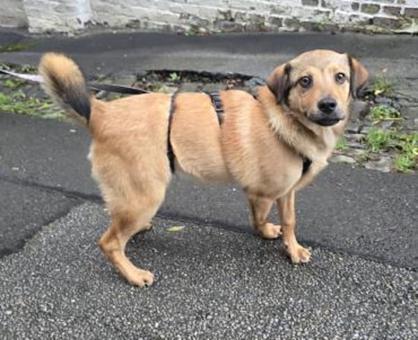 Der liebe Charly sucht seine Familie