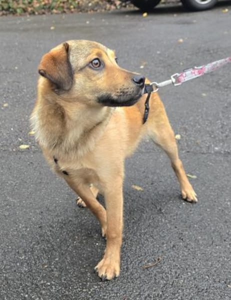 Der liebe Charly sucht seine Familie