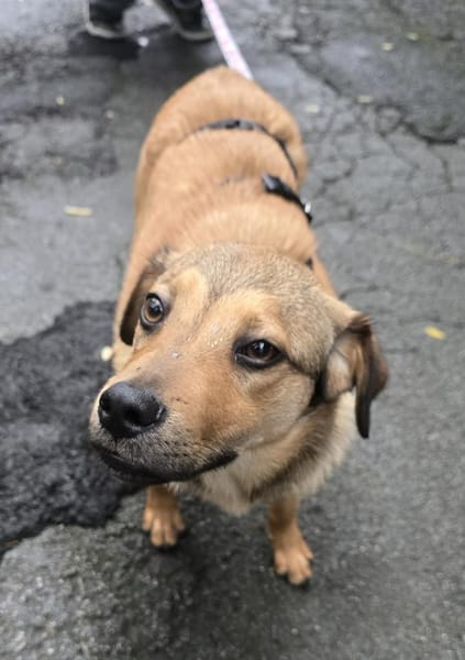 Der liebe Charly sucht seine Familie