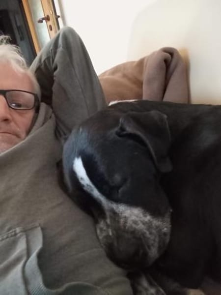 Spike sucht Zuhause in ländlicher Umgebu