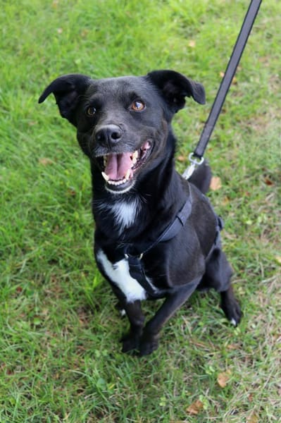 August - bringt den Sommer ins Haus 🌞