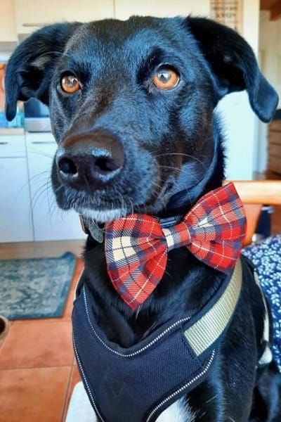 August - bringt den Sommer ins Haus 🌞