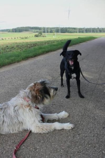 August - bringt den Sommer ins Haus 🌞