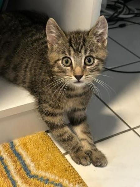 2 Babys suchen noch ein Zuhause