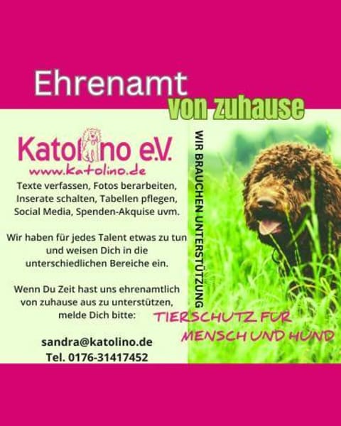 Ehrenamtliche Helfer gesucht!