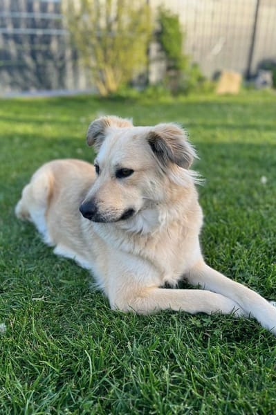 LunaLernwillig und mit viel Potential