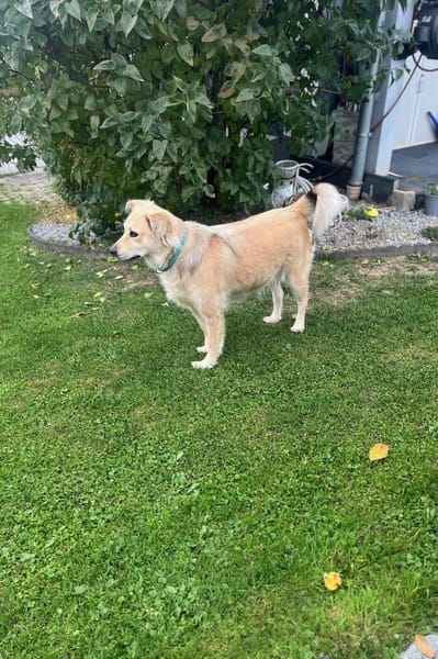 LunaLernwillig und mit viel Potential