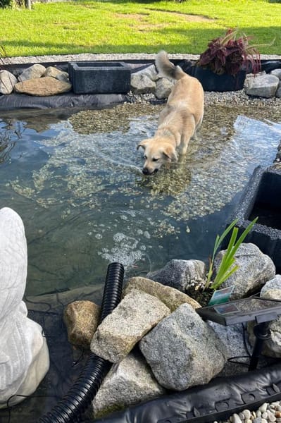 LunaLernwillig und mit viel Potential