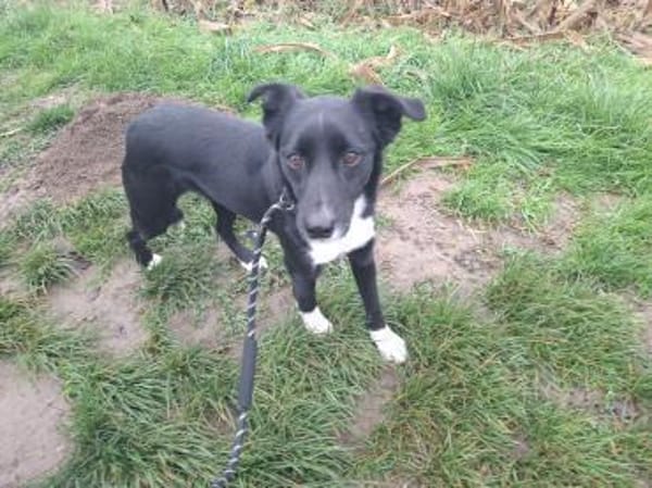 Claudia  zarte Elfe sucht ihre Menschen