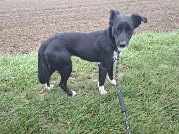 Claudia  zarte Elfe sucht ihre Menschen