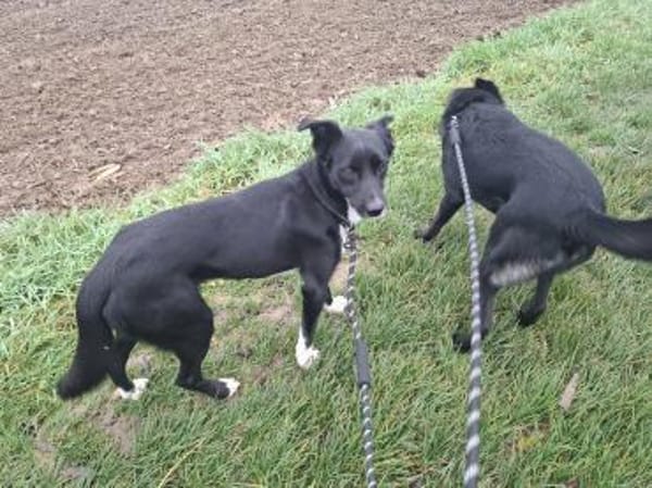 Claudia  zarte Elfe sucht ihre Menschen