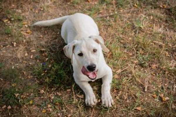 FIPS - zusammen kann's nur gut werden