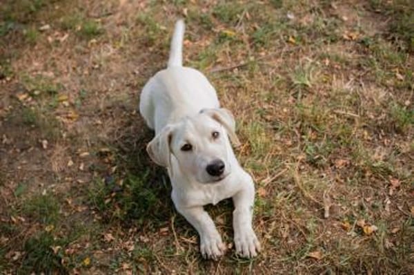 FIPS - zusammen kann's nur gut werden