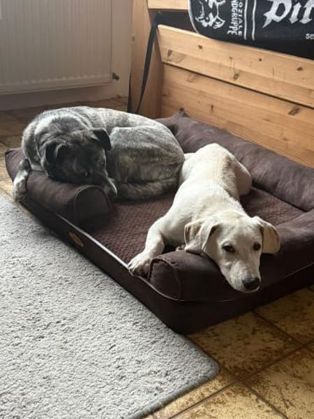 FIPS - zusammen kann's nur gut werden