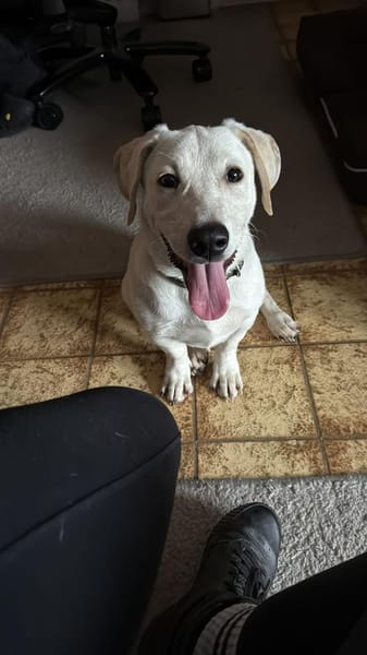 FIPS - zusammen kann's nur gut werden