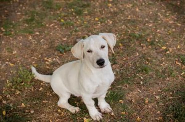 FIPS - zusammen kann's nur gut werden