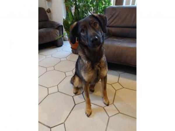 Edith  wartet in 56379 Oberwies