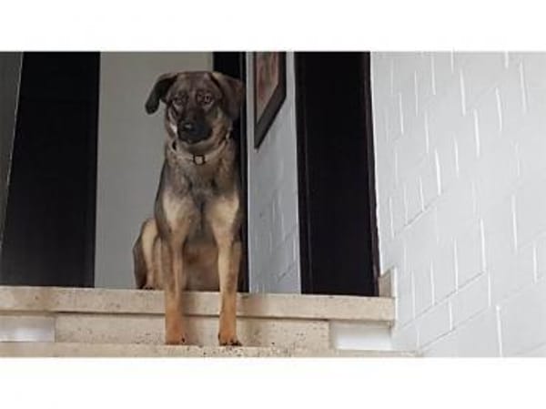 Edith  wartet in 56379 Oberwies