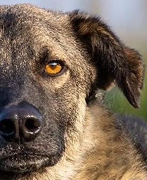 Stopp bitte seht mich endlich!Kenny 48cm