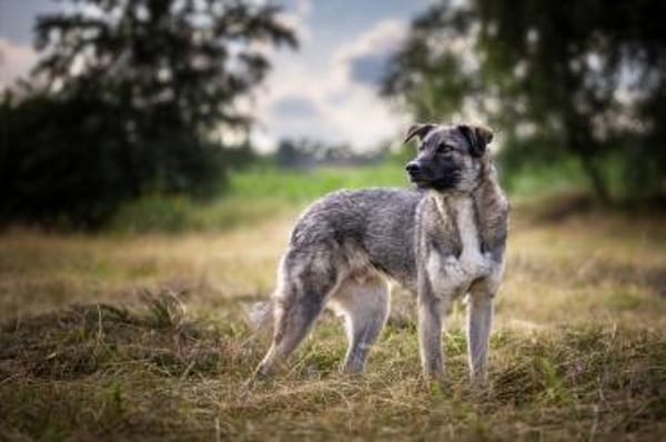 Stopp bitte seht mich endlich!Kenny 48cm