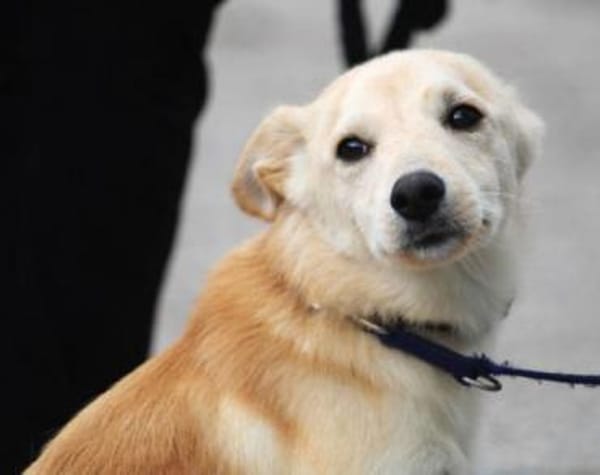 Amali ist einfach nur bezaubernd + lieb!